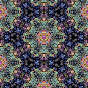 Leaf Kaleidoscope a