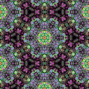 Leaf Kaleidoscope b