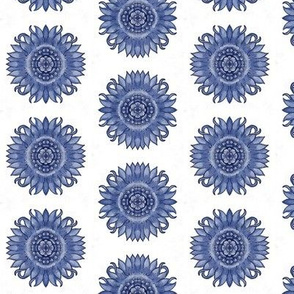 Blue Flower on White