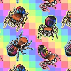 Rainbow Jumping Spider tiles