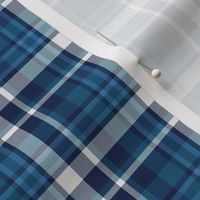 Woodbury Blues Plaid