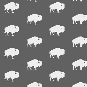 white buffalo on gray
