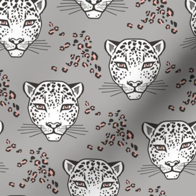 Leopard Head  Big Cat Cats Grey