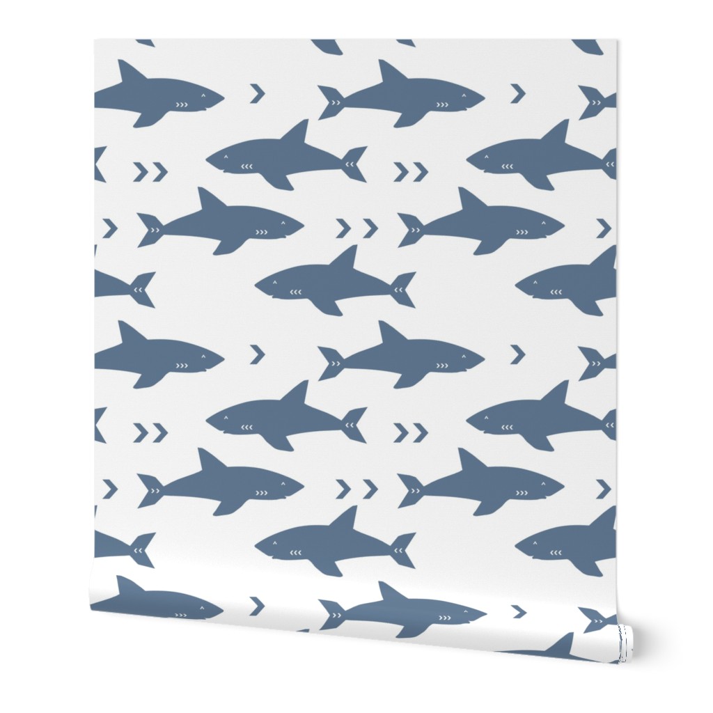 shark blue water ocean sealife marine animal