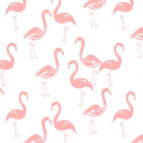 flamingo pastel pink sweet soft girly illustration watercolor spring summer tropical