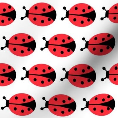 ladybug // ladybird insect kids spring 