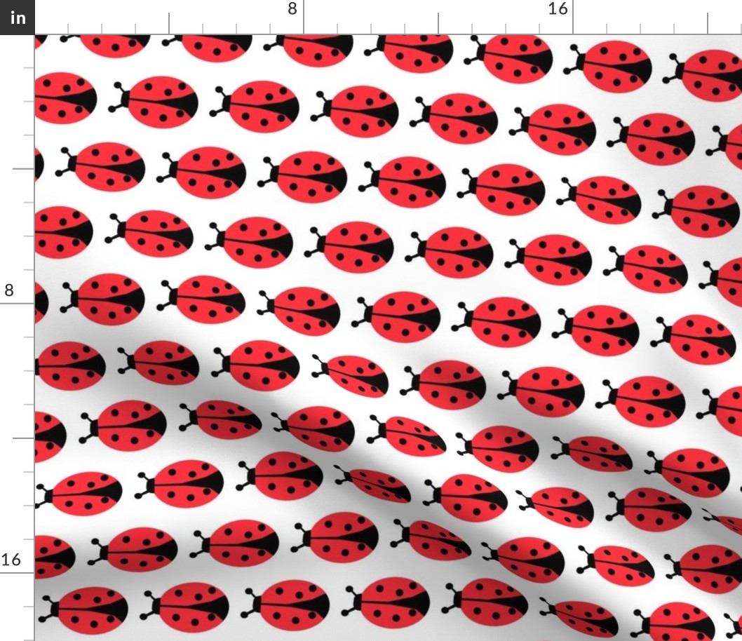 ladybug // ladybird insect kids spring 