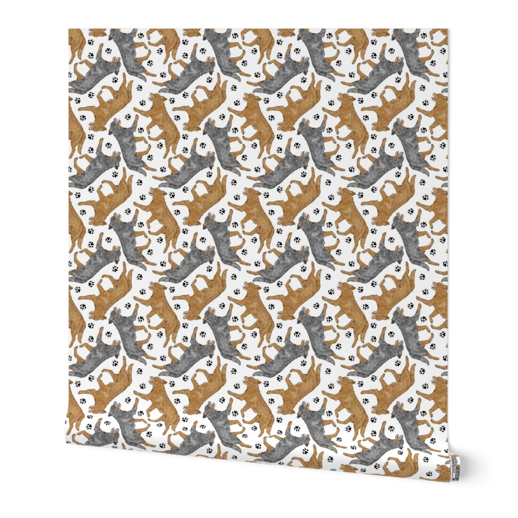 Trotting Australian Cattle Dogs and paw prints - white
