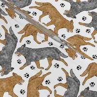 Trotting Australian Cattle Dogs and paw prints - white
