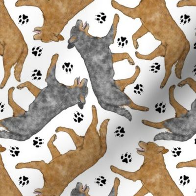 Trotting Australian Cattle Dogs and paw prints - white