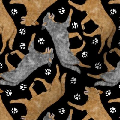 Trotting Australian Cattle Dogs and paw prints - black