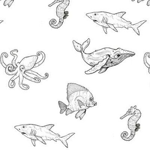 Black and White Ocean Creatures