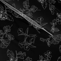 Botanical Sketchbook: Black & White