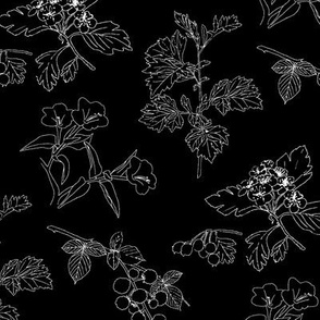 Botanical Sketchbook: Black & White