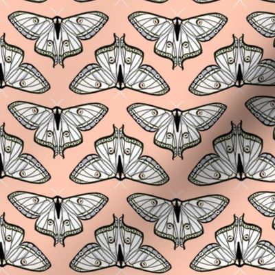 luna moth // blush pink moth kids girls spring sweet butterfly butterflies girls