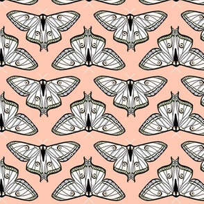 luna moth // blush pink moth kids girls spring sweet butterfly butterflies girls