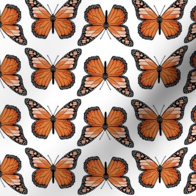 monarch butterflies // butterfly orange spring florals flower insect 