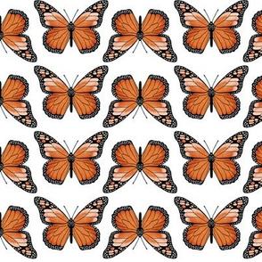 monarch butterflies // butterfly orange spring florals flower insect 