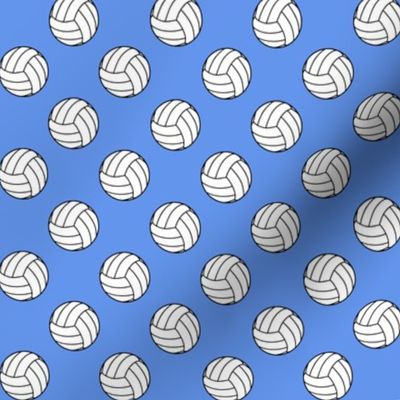 One Inch Black and White Sports Volleyball Balls on Cornflower Blue