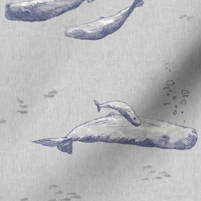 Whale Pod | Hand drawn sperm whales, sea life fabric in blue and gray, sea animals, whale print, ocean fabric.