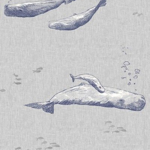 Whale Pod | Hand drawn sperm whales, sea life fabric in blue and gray, sea animals, whale print, ocean fabric.