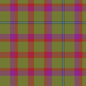 Shawtor hunting tartan, 6"