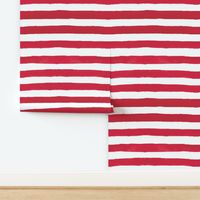 America Red Flag Stripes