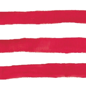 America Red Flag Stripes