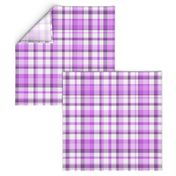 Violet Plaid