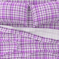 Violet Plaid