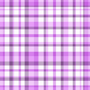 Violet Plaid