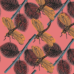 Dragonflies and Leaves