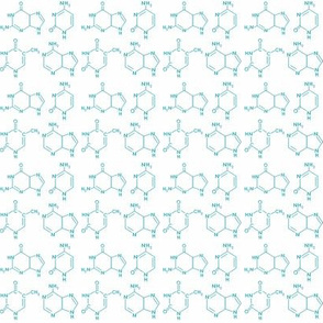 DNA base pairs 