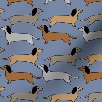 dachshund // doxie sausage dog blue cute dogs design