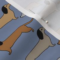 dachshund // doxie sausage dog blue cute dogs design