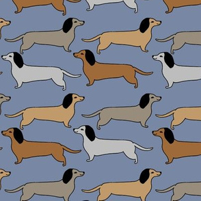 dachshund // doxie sausage dog blue cute dogs design