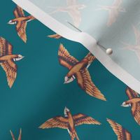 Swallows, Copper on Corfu Blue