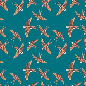 Swallows, Copper on Corfu Blue