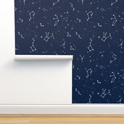 constellations // navy blue white kids stars nursery baby kids room