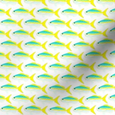 Yellowtail Snapper Pattern