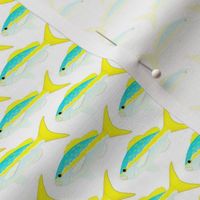 Yellowtail Snapper Pattern