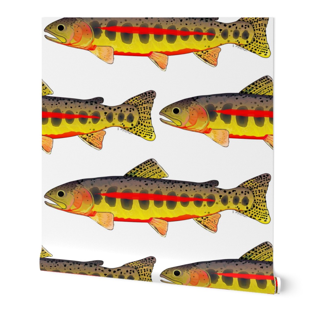 Golden Trout