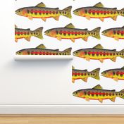 Golden Trout