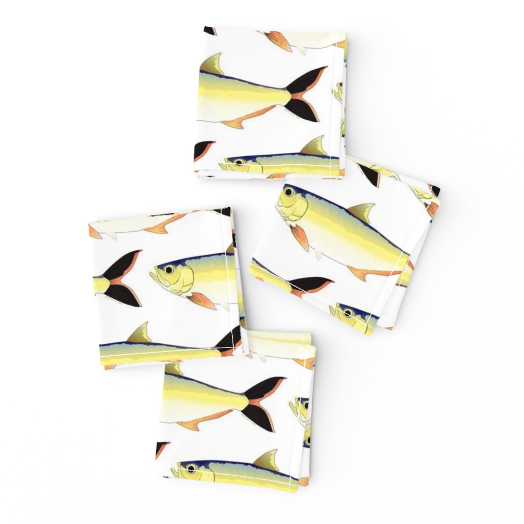 Amazon Pellona fish pattern