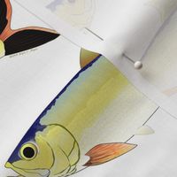 Amazon Pellona fish pattern