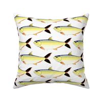 Amazon Pellona fish pattern