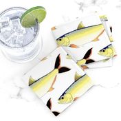 Amazon Pellona fish pattern