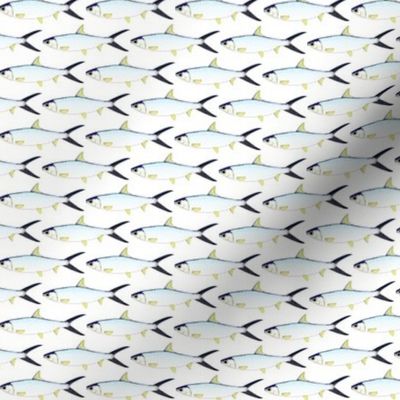 Milkfish Pattern