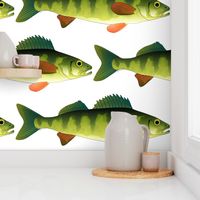 Yellow Perch fish pattern