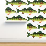 Yellow Perch fish pattern